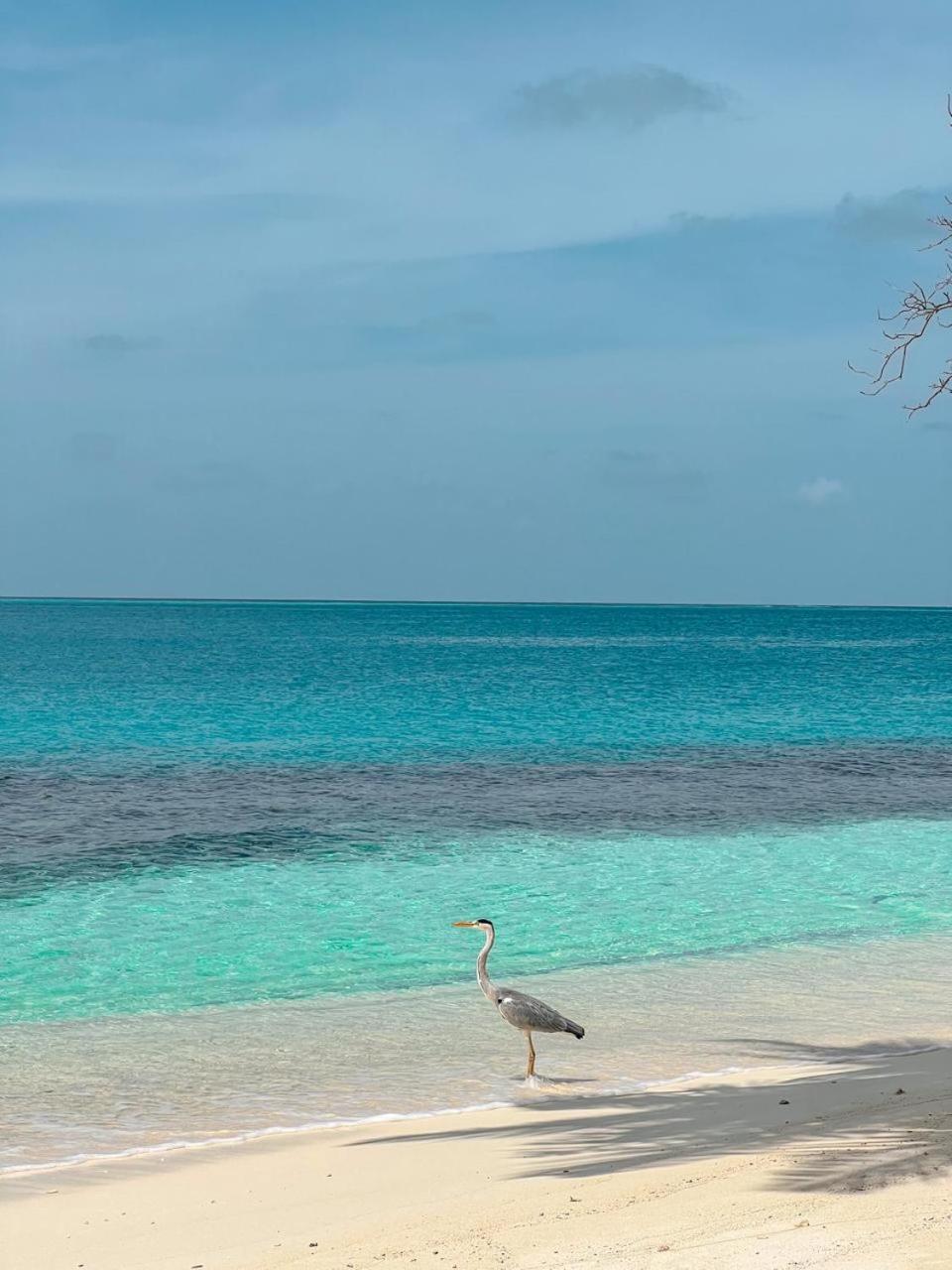 Infinite Lagoon Mandhoo Екстериор снимка