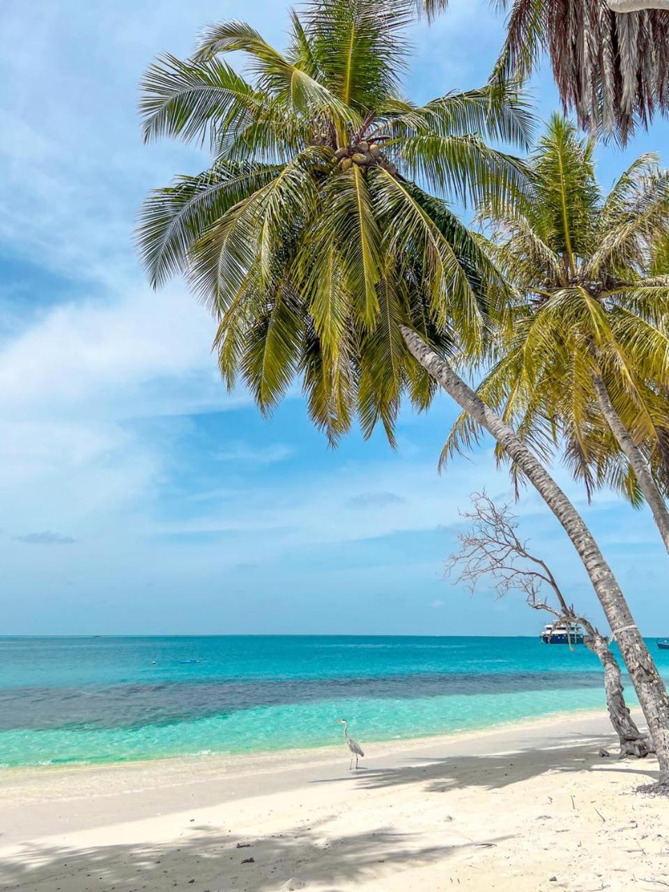 Infinite Lagoon Mandhoo Екстериор снимка
