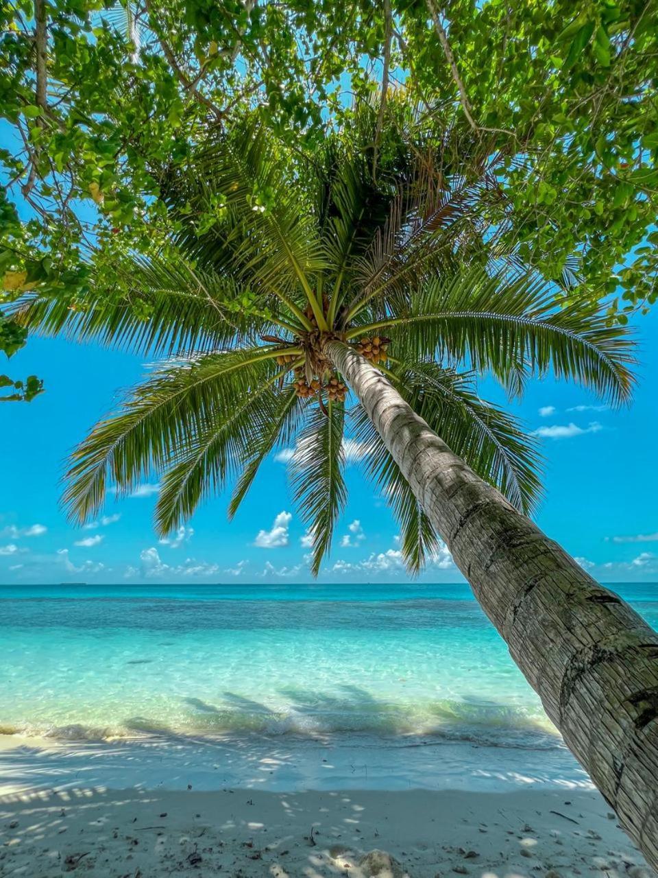 Infinite Lagoon Mandhoo Екстериор снимка